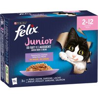12x85g Felix "Aussi bon que beau" Junior sélection mixte - Pâtée pour chat