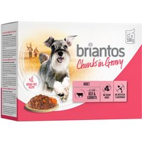 Ekonomipack: Briantos Chunks in Gravy 48 x 100 g - Nötkött & morötter