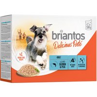Briantos Delicious Paté 12 x 100 g - Lax