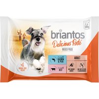 Lot mixte Briantos 4 x 100 g pour chien - Delicious Paté (saumon & bœuf)