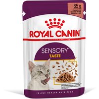 96x85g Sensory Taste en sauce Royal Canin - Pâtée pour chat