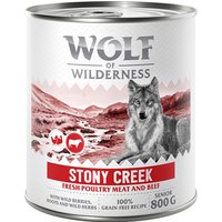 Wolf of Wilderness Senior “Expedition” 6 x 800 g pour chien - Stony Creek - volaille, bœuf