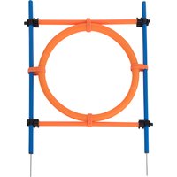 Fun & Sport Cerceau - Agility pour chien