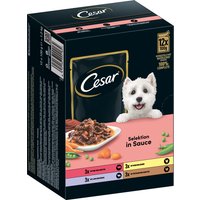 Cesar Selection in Sauce Kött & grönsaker - Ekonomipack: 24 x 100 g