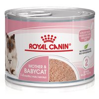Royal Canin Mother & Babycat Mousse ultra soffice - Set %: 24 x 195 g