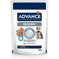11x100g Recovery Veterinary Diets Advance nourritre humide pour chien