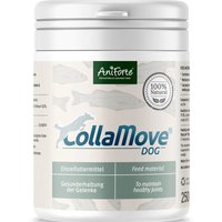 250g AniForte CollaMove Dog aliment complémentaire pour chiens