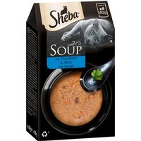 Ekonomipack: Sheba Classic Soup Pouch 80 x 40 g - Tonfisk