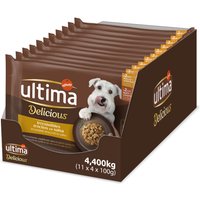 44x 100g Ultima Fit & Delicious Mini Dog Volwassen Kip & Rund hondenvoer nat