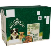 James Wellbeloved Puppy & Junior Hypoallergenic Grain Free Pouches - Turkey in Gravy - Saver Pack: 48 x 90g