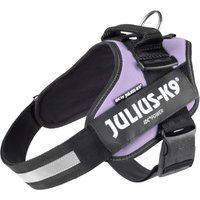 Julius-K9 IDC® Powerharness, violet Gr. L/1 : tour de poitrine 63-85cm pour chien
