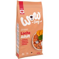 WOW Adult med lax - 6 kg