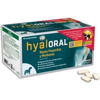 Hyaloral Chien Petite/Moyenne Race 90 Comprimés - Compléments Hyaloral pour chien