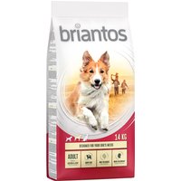 2x14kg Adult poulet, riz Briantos - Croquettes pour Chien