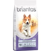 2x14kg Adult Active Briantos pour chien
