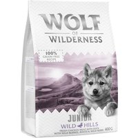 Wolf of Wilderness Junior