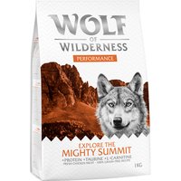 1kg Explore "The Mighty Summit" Performance Wolf of Wilderness - Croquettes pour chien