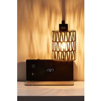 Iron Wall Light Rope Lampshade & Knob Switch