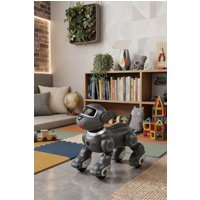 Rechargeable Programmable Remote Control Robot Dog Toy