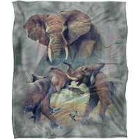 JQ Licensing Jmm-Jp Elephants Fighting Silky Touch Super Soft Throw Blanket 152 X 127 cm in White