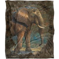 JQ Licensing Cf-Jp Elephant Silky Touch Super Soft Throw Blanket 152 X 127 cm in White