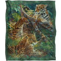 JQ Licensing Jmm-Jp Jungle Cats Leopards Silky Touch Super Soft Throw Blanket 152 X 127 cm in White