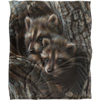 JQ Licensing Rl Two Raccons Silky Touch Super Soft Throw Blanket 152 X 127 cm in White