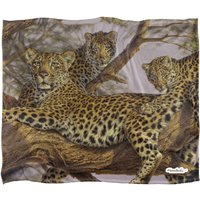 Wild Wings Family Tree Silky Touch Super Soft Throw Blanket 152 X 127 cm in White