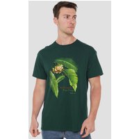 Wildlife Red Eyed Tree Frog T Shirt Hunter Green