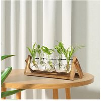 Garden Sanctuary Plant Propagation Station with 5 Bulbs Shape Hydroponic Glass Vase & Wooden Stand in Clear