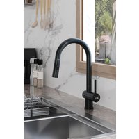 Modern Swivel Kitchen Faucet Pull down Sink Tap Sprayer Pull out Hose