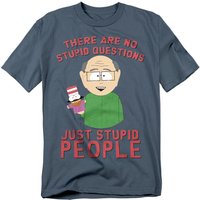 No Stupid Questions T Shirt Slate