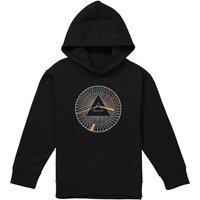 Spokes Pull Over Hoodie