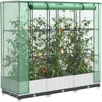 Berkfield Home Raised Bed with Greenhouse Cover Rattan Look 120x40x123 cm in White | Size: 120 x 40 x 123 cm