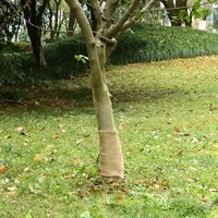 Berkfield Home Jute Roll 0.25x10 m 100% Jute 200 gsm
