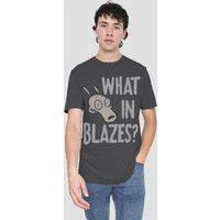 RockoS Modern Life What Blazes UK Heather