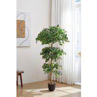 H&O Direct 185cm Artificial Zamioculcas Decorative Plant in Green