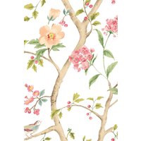Bird Song Coral Mix 10m Wallpaper