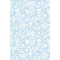 Evelyn Trail Sky 10m Wallpaper