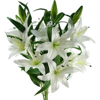 Pack 6 Lily Stems 100cm 18 Silk Flowers