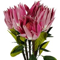 Pegdev Pack of 6 65cm Artificial Pink Protea Stems with Silk Petals