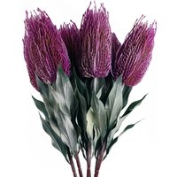 Pegdev Pack of 6 75cm Artificial Pink Banksia Stems for Floral Décor