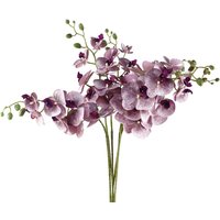 Pegdev Pack of 6 100cm Artificial Purple Orchid Stem 42 Realistic Flowers
