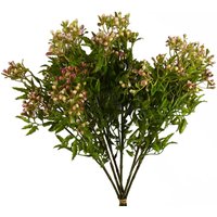 Pegdev Pack of 6 55cm Artificial Foliage Stem with Pink Berries