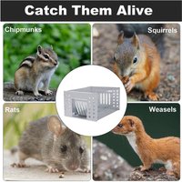 Living and Home Metal Humane Continuous Mouse Trap Cage in Silver