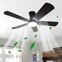 Dimmable Ceiling Fans Noiseless Modern Fan Light