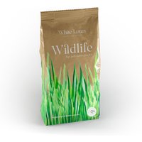 Wildlife Grass Seed Versatile Resilient Blend Lush Gardens Parks