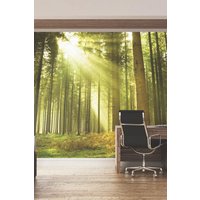Rainforest Leaves Wall Mural W300 cm x H240 cm