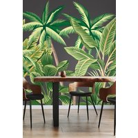 Tropical Palm Trees Wall Mural W350 cm x H280 cm