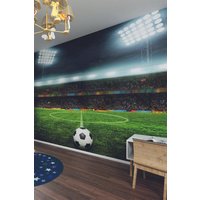 Origin Murals Football Stadium Green Wall Mural | Size: W300 cm x H240 cm